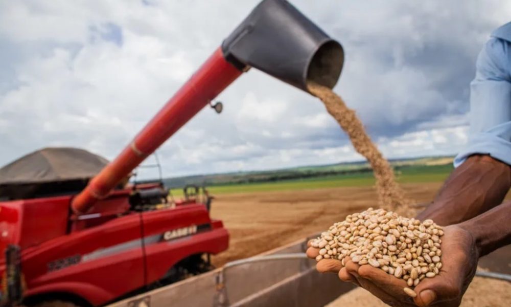 producao-de-feijao-cresce-5,5%-em-2024-e-parana-continua-lider-com-26,7%