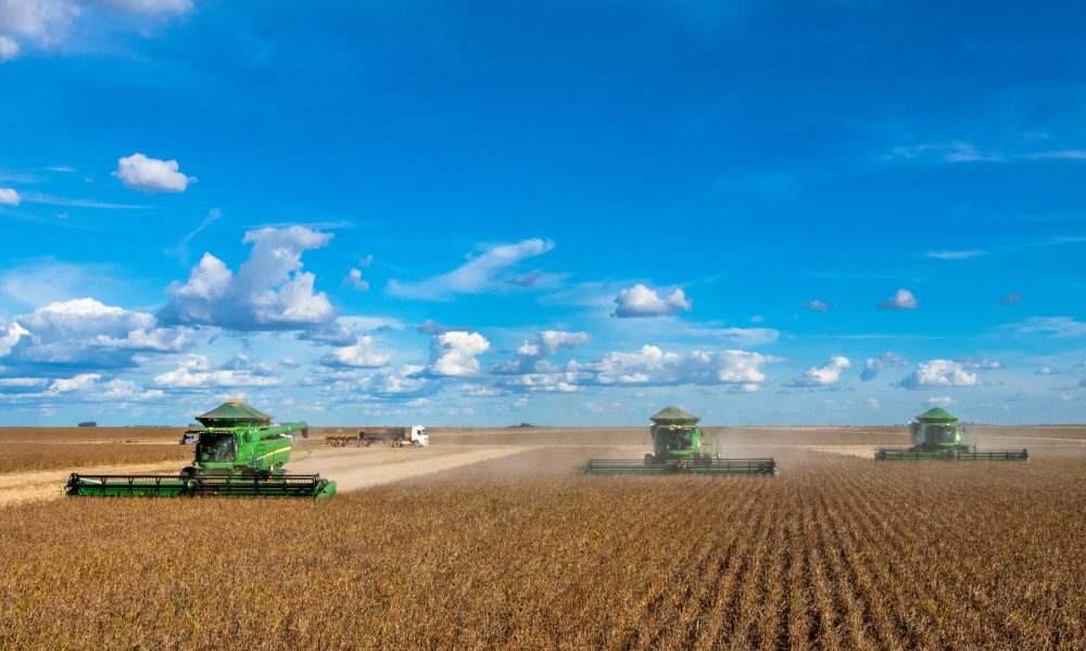 pib-do-agronegocio-acumula-recuo-de-3,5%-em-2024;-veja-segmentos-mais-impactados