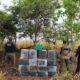 policia-civil-apreende-500-tabletes-de-cocaina-enterrados-em-sitio-na-fronteira