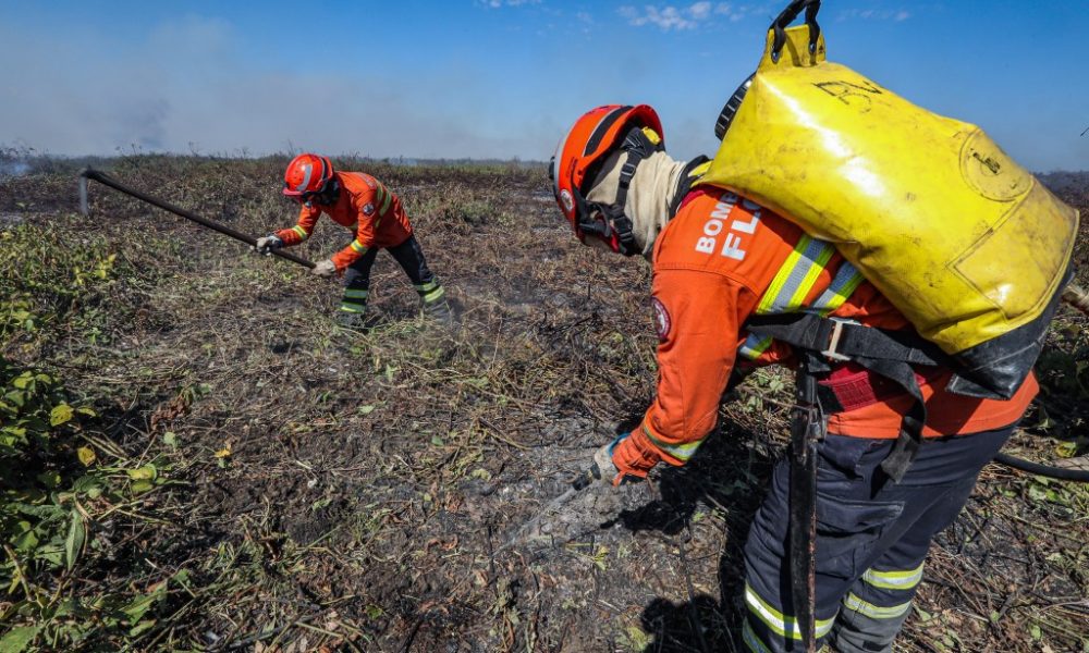 corpo-de-bombeiros-segue-no-combate-a-21-incendios-florestais-em-mt-nesta-quinta-feira-(17)