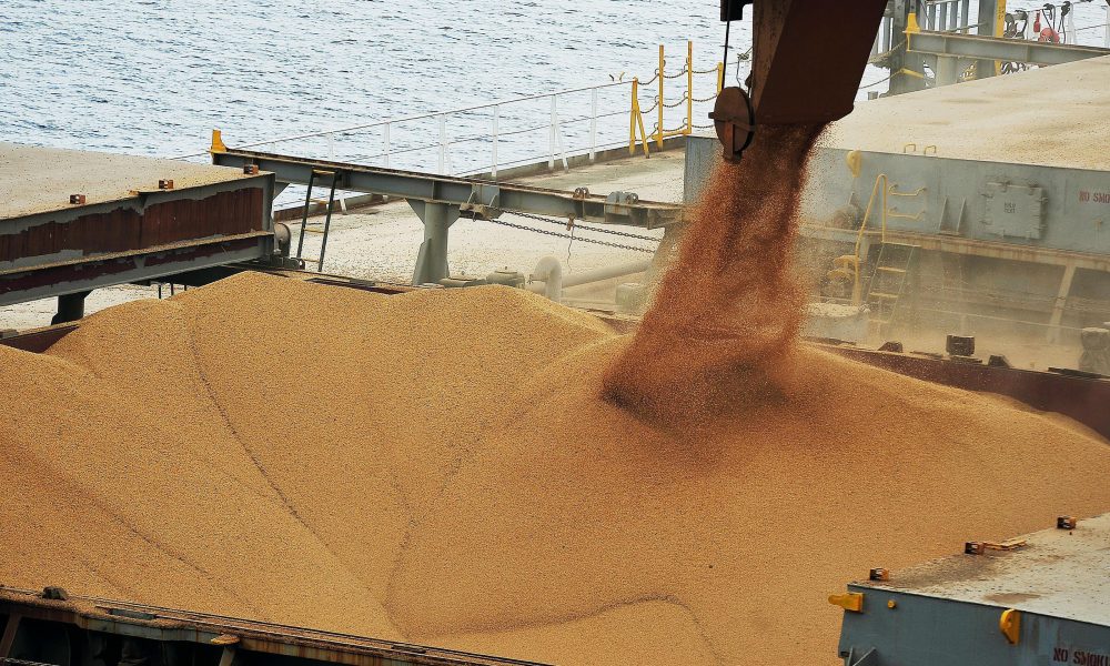 como-foi-a-semana-da-soja?-projecoes-apontam-alta-nas-exportacoes