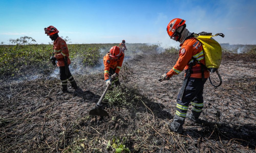 corpo-de-bombeiros-combate-20-incendios-florestais-em-mato-grosso-nesta-segunda-feira-(21)