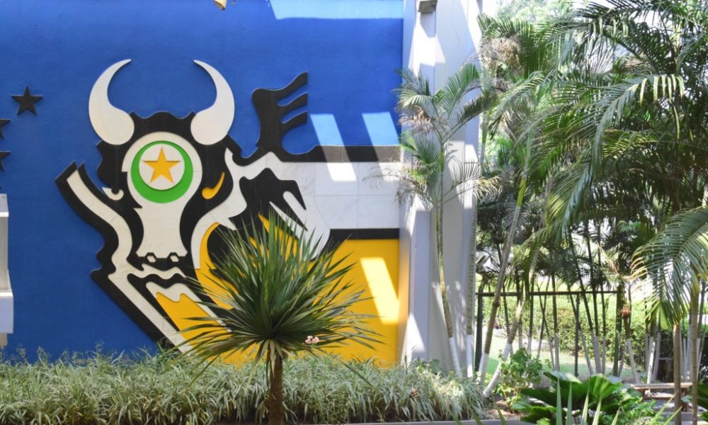 entenda-o-motivo-do-governo-de-mt-ter-vetado-pl-de-politica-de-arborizacao-estadual