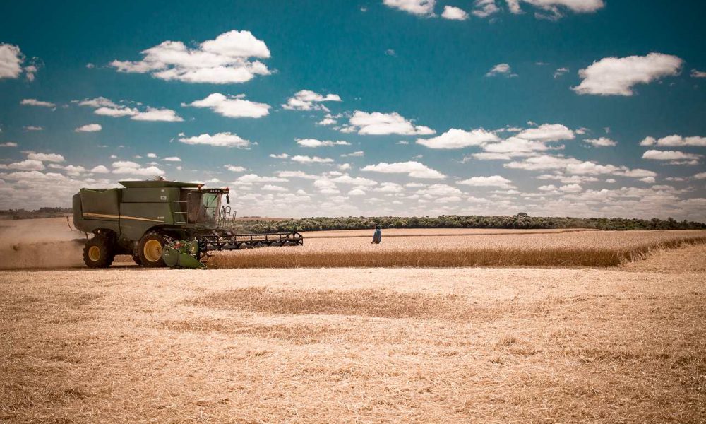 trigo-fecha-em-alta-em-chicago-com-lavouras-dos-eua-em-mas-condicoes-–-mais-soja