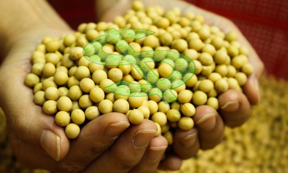 poucos-negocios-para-a-soja;-confira-detalhes-e-cotacoes