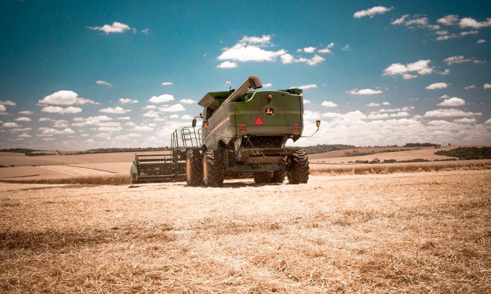 competicao-no-cenario-exportador-pressiona-trigo-em-chicago-no-primeiro-pregao-do-ano-–-mais-soja