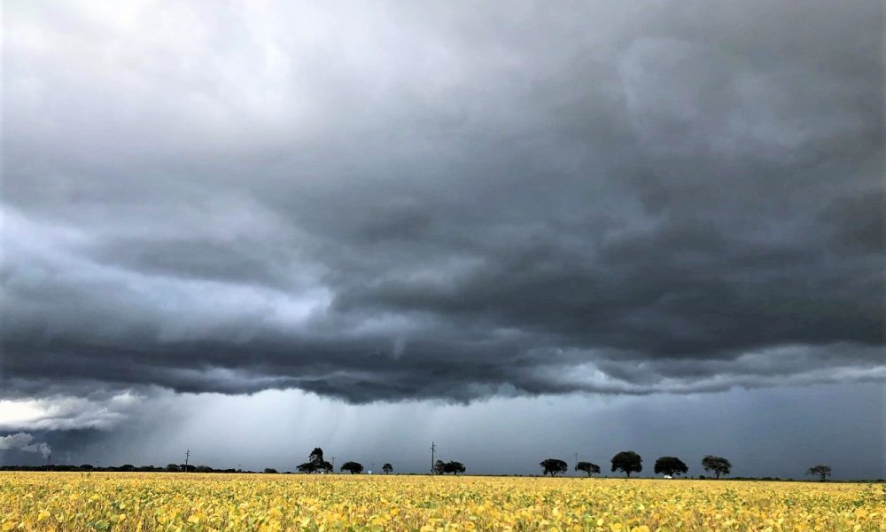 como-sera-o-clima-no-brasil-em-janeiro?-–-mais-soja