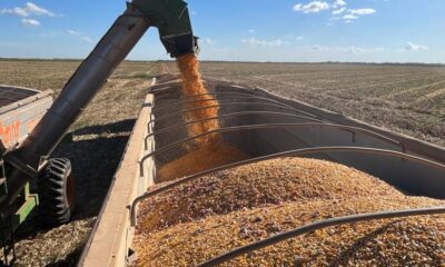 oferta-a-agricultura-familiar-por-meio-do-venda-em-balcao-cresce-70%-em-2024