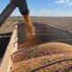 oferta-a-agricultura-familiar-por-meio-do-venda-em-balcao-cresce-70%-em-2024