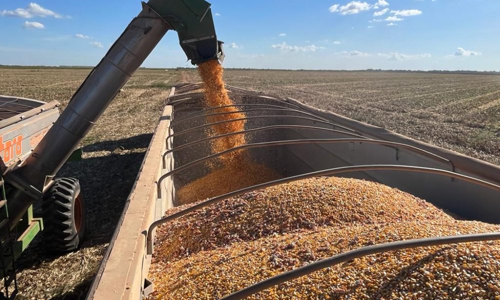 oferta-a-agricultura-familiar-por-meio-do-venda-em-balcao-cresce-70%-em-2024