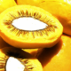 sancionada-lei-que-estimula-producao-de-pequi-e-outros-frutos-do-cerrado