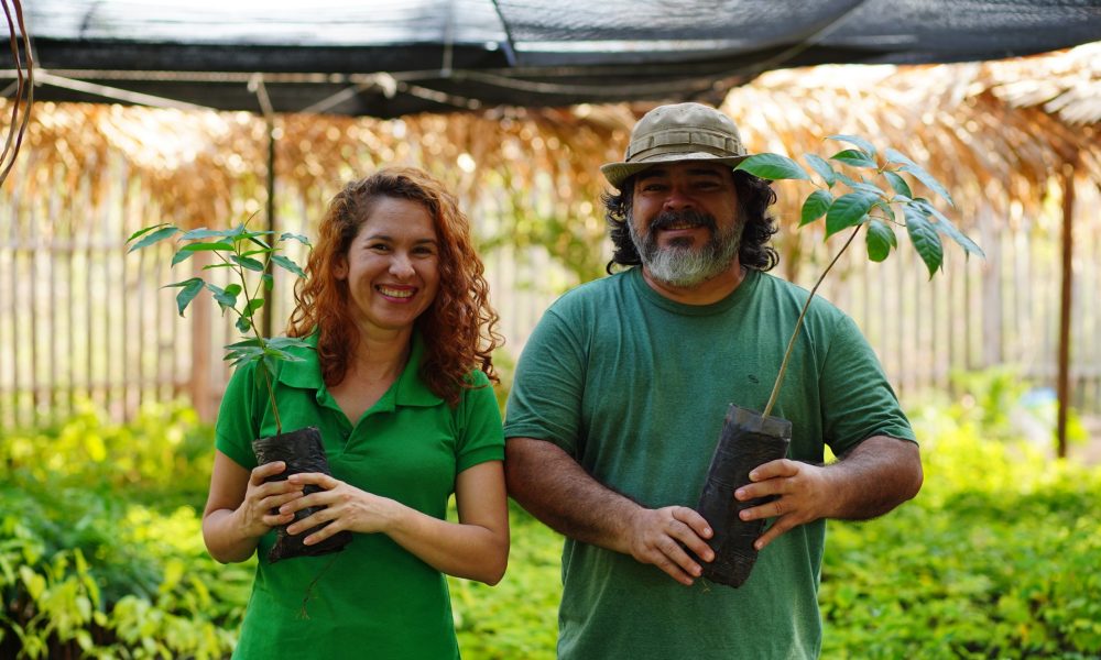 produtores-do-para-unem-acoes-para-impulsionar-sustentabilidade