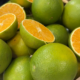 pomares-de-laranja-se-desenvolvem-bem