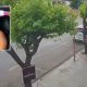 garcom-que-estava-desaparecido-e-encontrado-morto-em-frente-a-parque-de-cuiaba