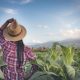 secretaria-de-agricultura-de-sp-eleva-limite-de-credito-para-mulheres-agricultoras