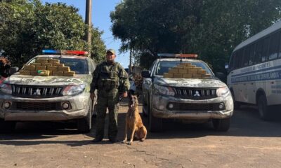 Gefron apreende 50kg de drogas em ônibus de transporte de pacientes – Foto: PMMT/SESP