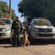Gefron apreende 50kg de drogas em ônibus de transporte de pacientes – Foto: PMMT/SESP