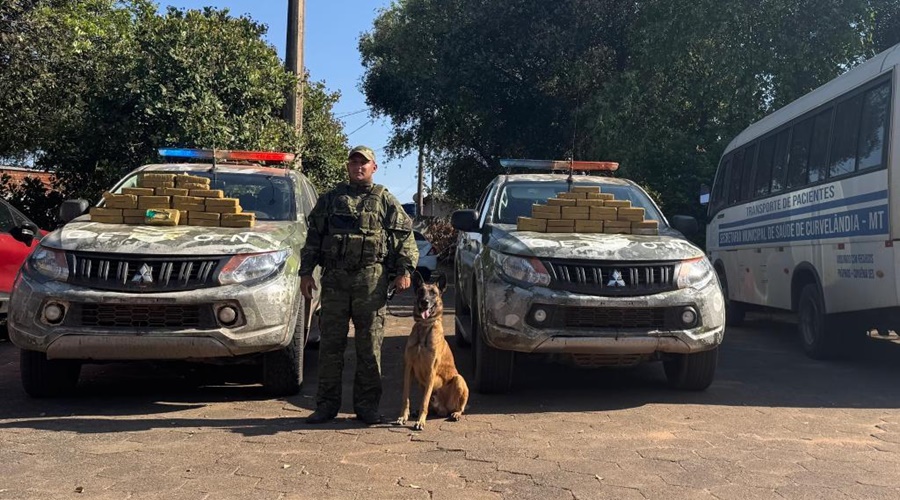 Gefron apreende 50kg de drogas em ônibus de transporte de pacientes – Foto: PMMT/SESP